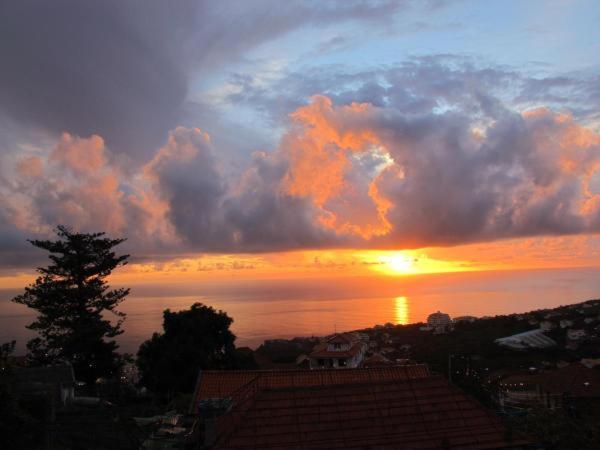 Madeira House Villa Calheta  Bilik gambar